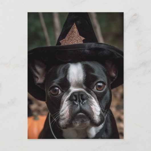 Halloween Boston Terrier Briefkaart (Voorkant)