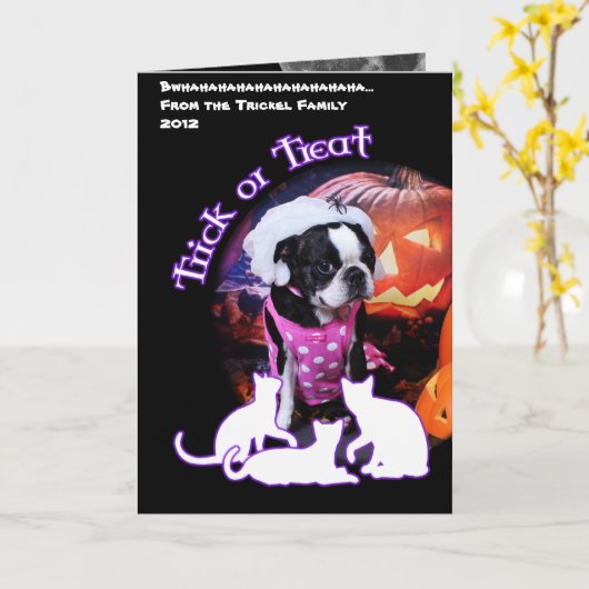 Halloween - Boston Terrier - Georgia Kaart (Gele Bloem)