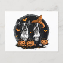 Halloween Boston Terrier Honden