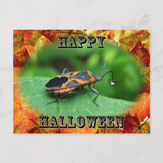 Halloween Box Ouder Coördinerende items Briefkaart (Voorkant)
