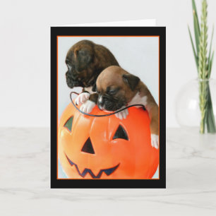 Halloween Boxer puppies wenskaart Kaart