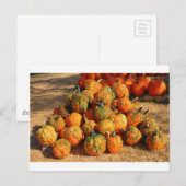 Halloween Briefkaart (Voorkant / Achterkant)