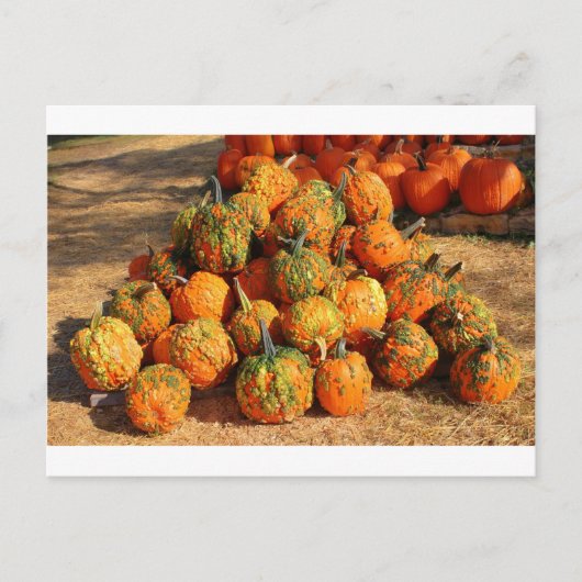 Halloween Briefkaart (Voorkant)