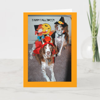 HALLOWEEN BRITTANYS KAART