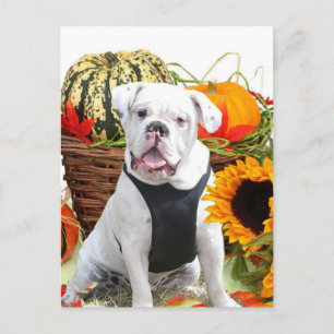 Halloween bulldog briefkaart