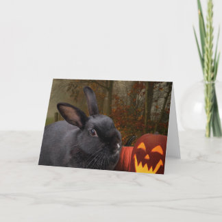 Halloween Bunny Feestdagen Kaart