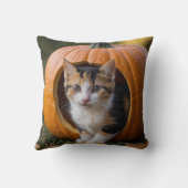 Halloween Calico Kitten Zittend in een Pompoen Kussen (Achterkant)