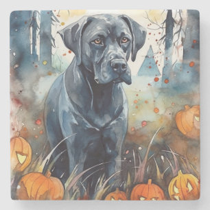 Halloween Cane corso met pompoenen eng Stenen Onderzetter