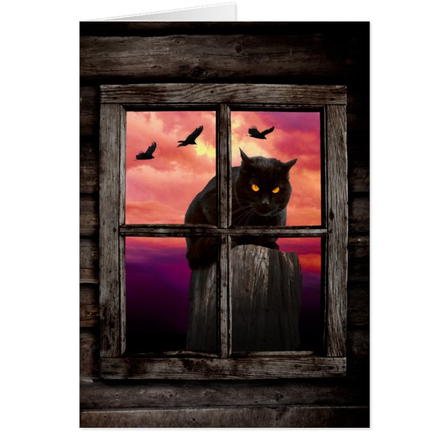 Halloween Cat (Voorkant)