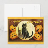 Halloween  Cat and Pumpkins Briefkaart (Voorkant / Achterkant)