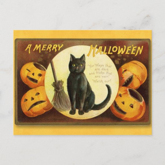 Halloween  Cat and Pumpkins Briefkaart (Voorkant)