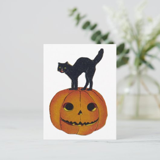 Halloween Cat Briefkaart (Staand voorkant)
