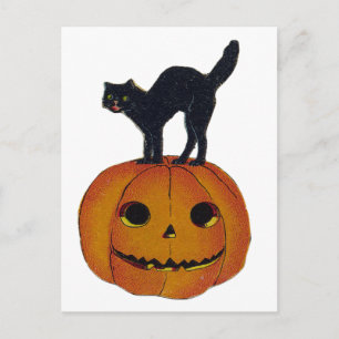 Halloween Cat Briefkaart