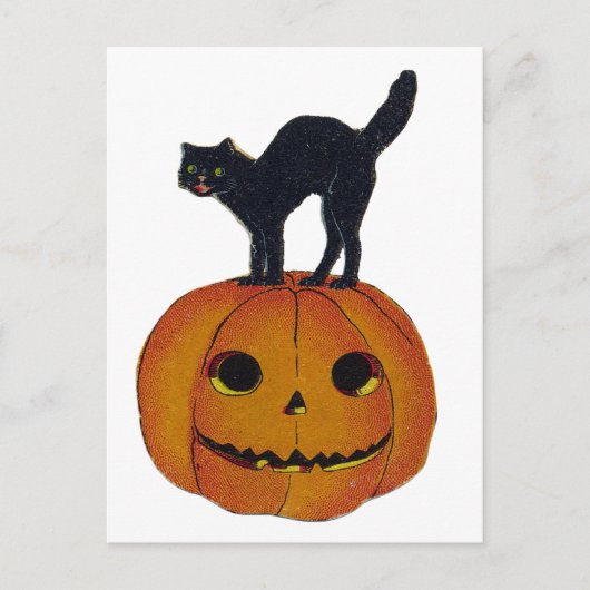  Halloween Cat Briefkaart (Voorkant)