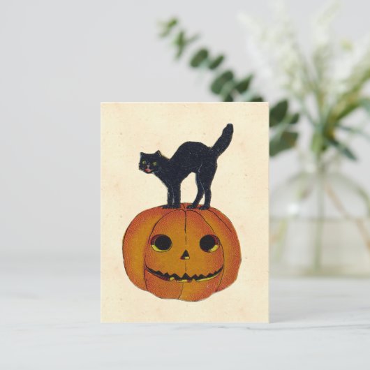  Halloween Cat Briefkaart (Staand voorkant)