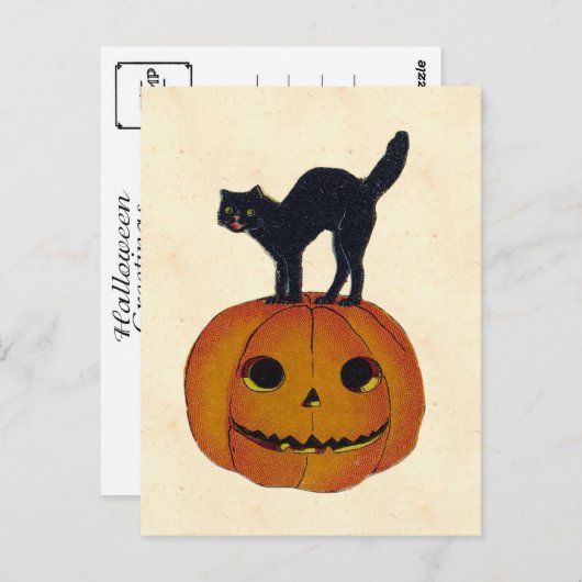  Halloween Cat Briefkaart (Voorkant / Achterkant)