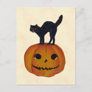 Halloween Cat Briefkaart