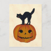  Halloween Cat Briefkaart (Voorkant)
