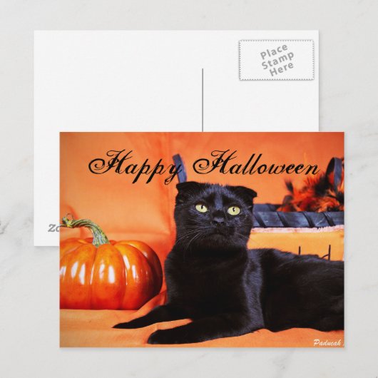 Halloween Cat Briefkaart (Voorkant / Achterkant)