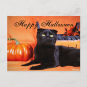 Halloween Cat Briefkaart (Voorkant)