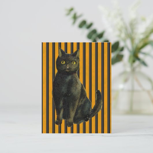 Halloween Cat Briefkaart (Staand voorkant)