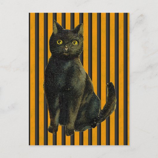  Halloween Cat Briefkaart (Voorkant)