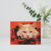 Halloween Cat Briefkaart (Staand voorkant)