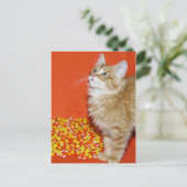 Halloween cat briefkaart (Staand voorkant)