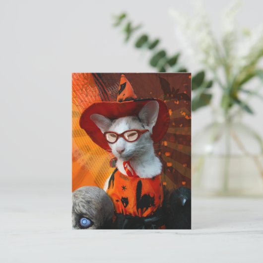 Halloween Cat Briefkaart (Staand voorkant)