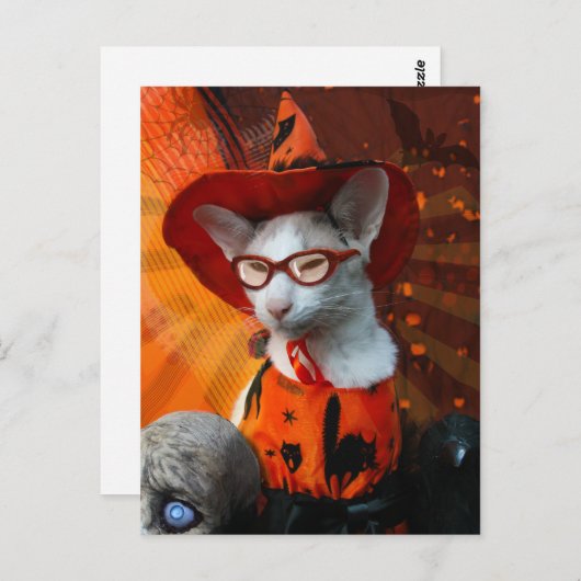 Halloween Cat Briefkaart (Voorkant / Achterkant)