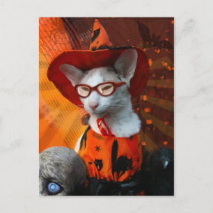Halloween Cat Briefkaart