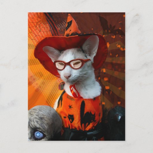 Halloween Cat Briefkaart (Voorkant)