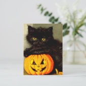 Halloween Cat en Jack-o’-lantaarn Briefkaart (Staand voorkant)