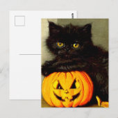 Halloween Cat en Jack-o’-lantaarn Briefkaart (Voorkant / Achterkant)