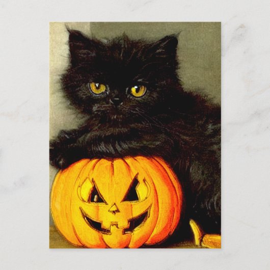Halloween Cat en Jack-o’-lantaarn Briefkaart (Voorkant)