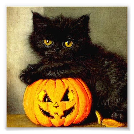 Halloween Cat en Jack-o’-lantaarn Foto Afdruk (Voorkant)