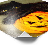 Halloween Cat en Jack-o’-lantaarn Foto Afdruk (Hoek)