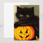 Halloween Cat en Jack-o’-lantaarn Kaart (Voorkant / Achterkant)