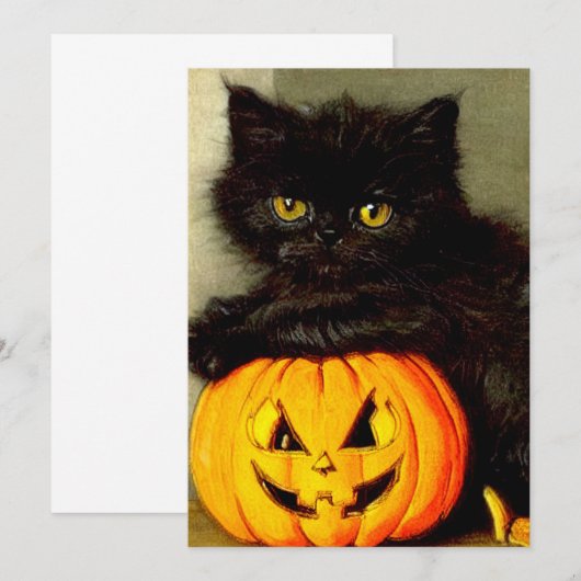 Halloween Cat en Jack-o’-lantaarn Kaart (Voorkant / Achterkant)