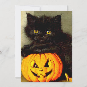 Halloween Cat en Jack-o’-lantaarn Kaart