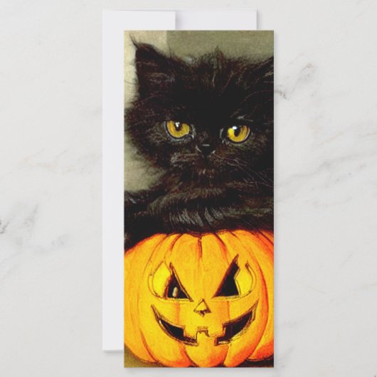 Halloween Cat en Jack-o’-lantaarn Kaart (Voorkant)