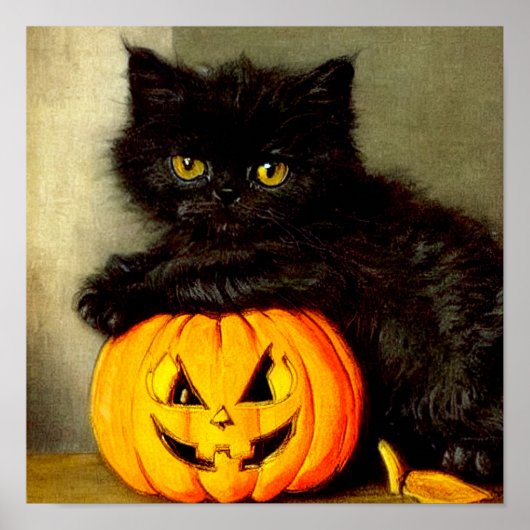 Halloween Cat en Jack-o’-lantaarn Poster (Voorkant)
