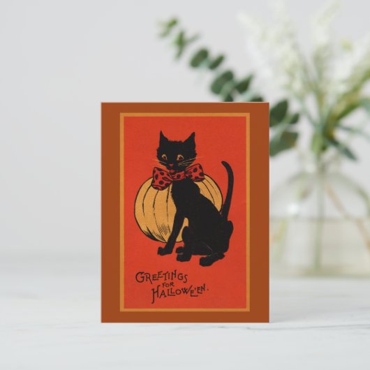 Halloween Cat en Pumpkin Briefkaart (Staand voorkant)