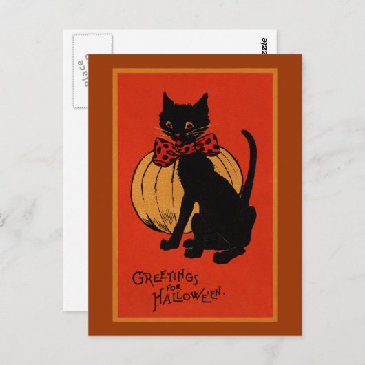 Halloween Cat en Pumpkin Briefkaart (Voorkant / Achterkant)