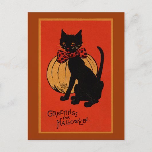 Halloween Cat en Pumpkin Briefkaart (Voorkant)