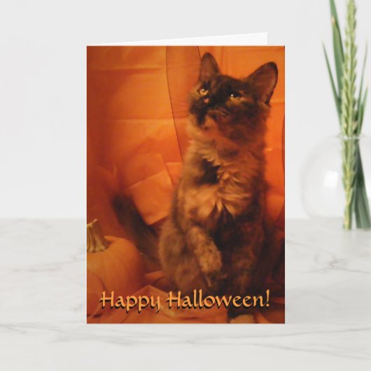 Halloween Cat Kaart (Voorkant)