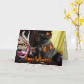 Halloween Cat Kaart (Gele Bloem)