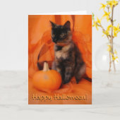 Halloween Cat Kaart (Gele Bloem)