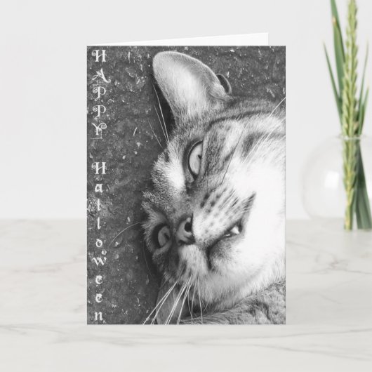 Halloween cat kaart (Voorkant)
