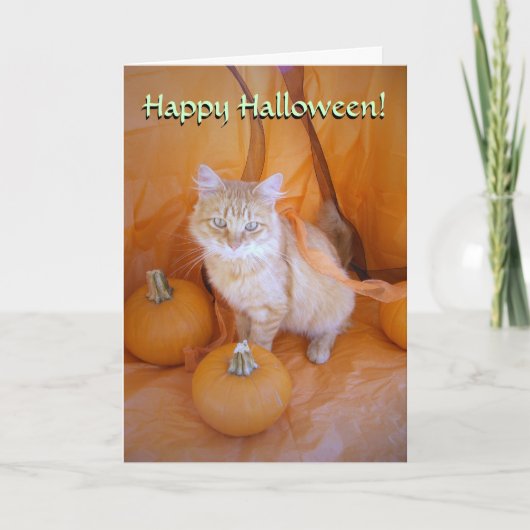 Halloween Cat Kaart (Voorkant)